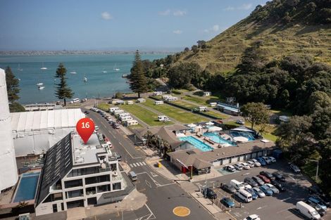 Photo of property in 16 Adams Avenue, Mount Maunganui, 3116