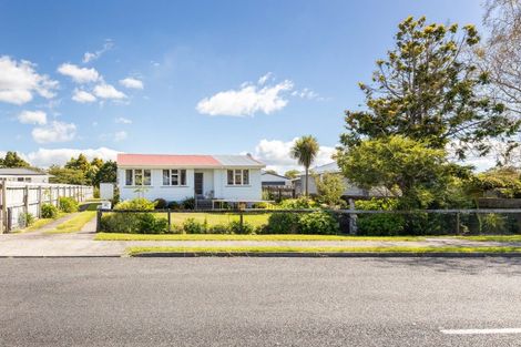 Photo of property in 20 Pukatea Street, Inglewood, 4330