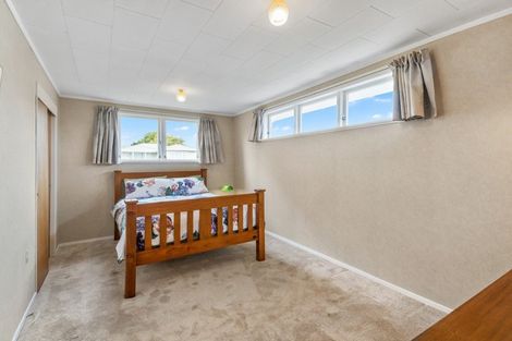 Photo of property in 175 Tiro Tiro Road, Levin, 5510