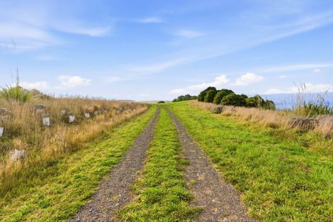 Photo of property in 375 Thorburn Road, Waikouaiti, 9472