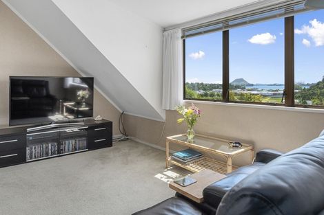 Photo of property in 19 Clarke Street, Gate Pa, Tauranga, 3112