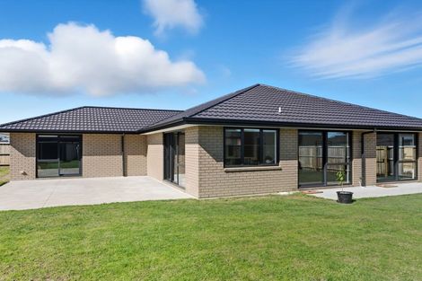 Photo of property in 41 Oates Street, Lincoln, 7608