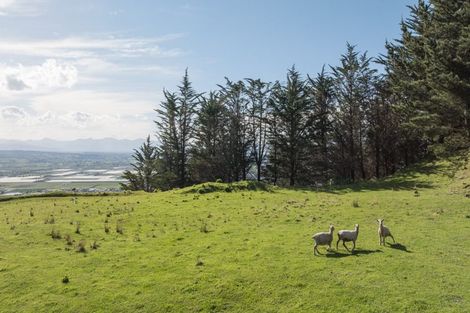 Photo of property in 14 Hillplough Heights, Richmond, 7020