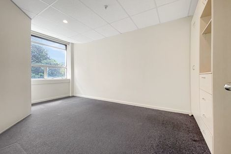 Photo of property in City Lodge Apartments, 204/115u Vivian Street, Te Aro, Wellington, 6011