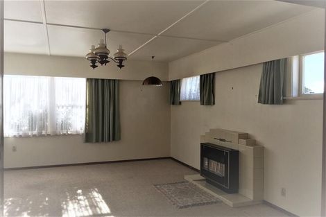 Photo of property in 45 Graham Street, Levin, 5510