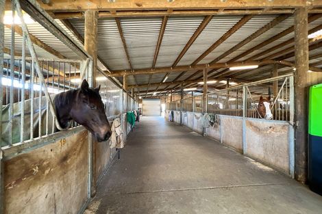 Photo of property in 49 Racecourse Road, Cambridge, 3493