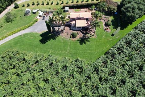 Photo of property in 6a Woodland Road, Tahawai, Katikati, 3170