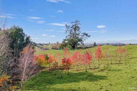 Photo of property in 370 Rosedale Road, Upper Moutere, 7175