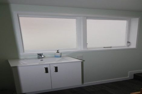 Photo of property in 19 Hope Street, Dunedin Central, Dunedin, 9016