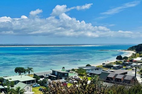 Photo of property in 41 Motutara Drive, Karikari Peninsula, 0483