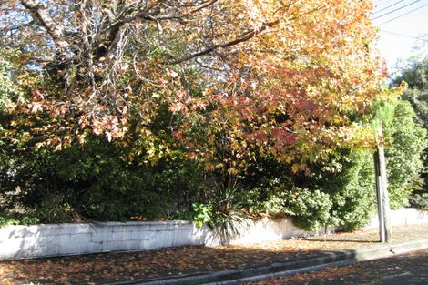 Photo of property in 14 Hornbrook Street, Waltham, Christchurch, 8023