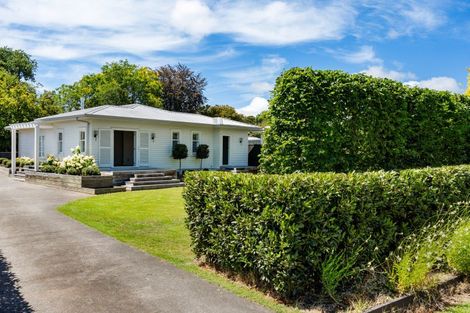 Photo of property in 41 Mchardy Street, Havelock North, 4130