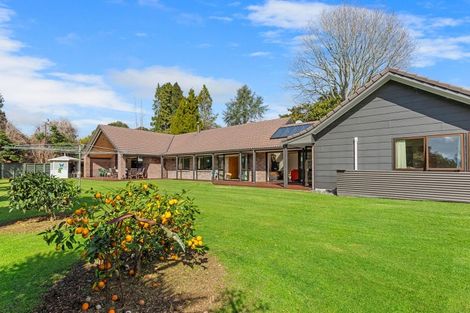 Photo of property in 330 Oropi Road, Oropi, Tauranga, 3173