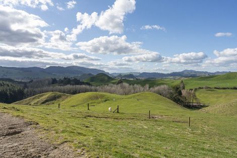 Photo of property in 240 Whakapapa Road, Ohakuri, Reporoa, 3083
