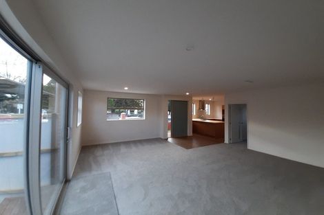 Photo of property in 395 Selwyn Street, Addington, Christchurch, 8024