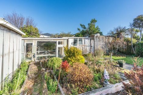 Photo of property in 14 Alma Street, Saint Kilda, Dunedin, 9012