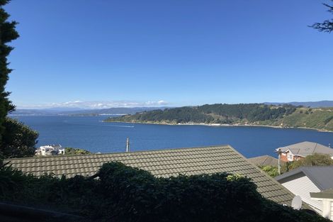 Photo of property in 165 Te Anau Road, Hataitai, Wellington, 6021