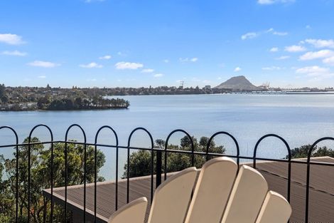Photo of property in 31 Ririnui Place, Maungatapu, Tauranga, 3112