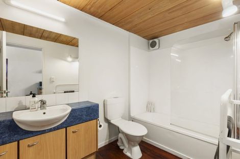 Photo of property in 14u8 Alpha Street, Te Aro, Wellington, 6011