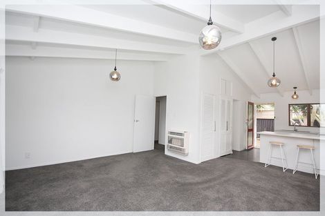 Photo of property in 133 Tiro Tiro Road, Levin, 5510