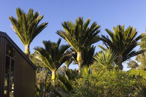 Photo of property in 22 Hartmount Place, Te Miko, Punakaiki, 7871