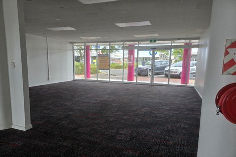 Photo of property in 27 Nelson Crescent, Napier South, Napier, 4110