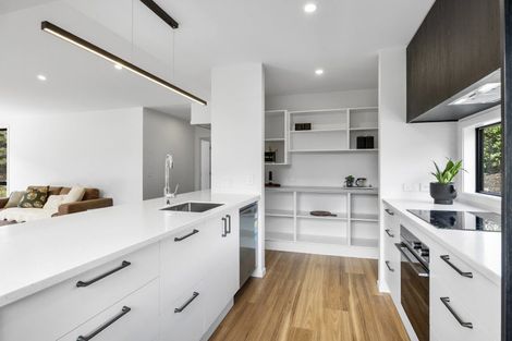 Photo of property in 17 Freyberg Road, Fairfield, Dunedin, 9018