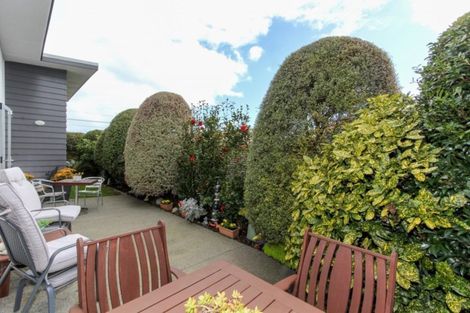 Photo of property in 149a Carrington Street, Lower Vogeltown, New Plymouth, 4310