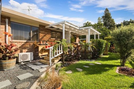 Photo of property in 33 Russell Street, Waihi, 3610