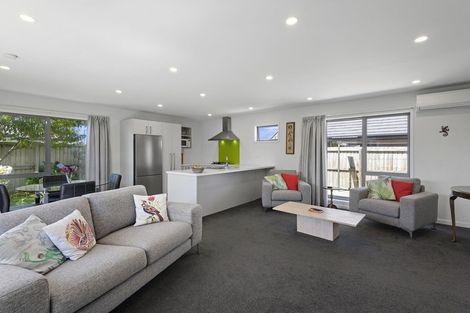 Photo of property in 38 Chert Street, Rolleston, 7614