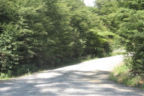 Photo of property in 313 Woodland Road, Tahawai, Katikati, 3170