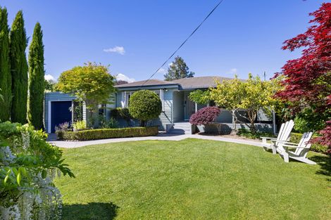 Photo of property in 11 Keats Terrace, Leamington, Cambridge, 3432
