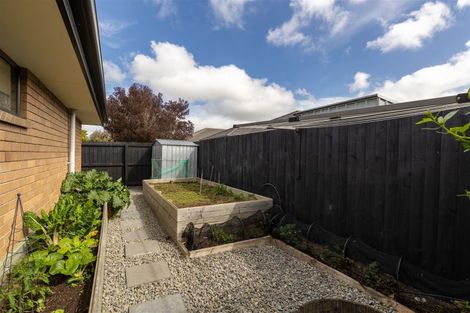 Photo of property in 37 Chert Street, Rolleston, 7614