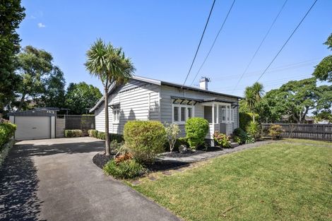 Photo of property in 17 Rimu Street, New Lynn, Auckland, 0600