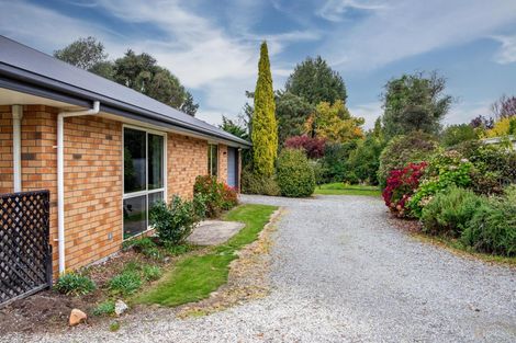 Photo of property in 20a George Street, Geraldine, 7930