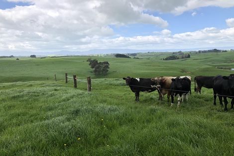 Photo of property in 247 Waterworks Road, Te Miro, Morrinsville, 3371