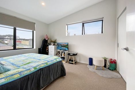 Photo of property in Aniva Terrace, 17 Arney Street, Newtown, Wellington, 6021