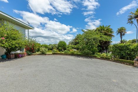 Photo of property in 38 Nelson Street, Waipukurau, 4200
