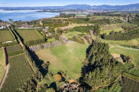 Photo of property in 297 Kauri Point Road, Tahawai, Katikati, 3170