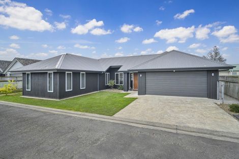 Photo of property in 1031 Reka Street, Akina, Hastings, 4122