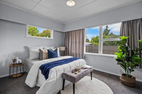 Photo of property in 41 Fitzroy Avenue, Fitzroy, Hamilton, 3206
