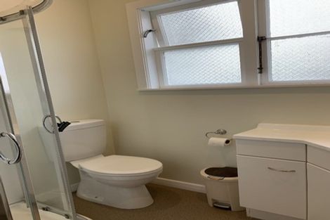 Photo of property in 43 Trinity Avenue, Epuni, Lower Hutt, 5011