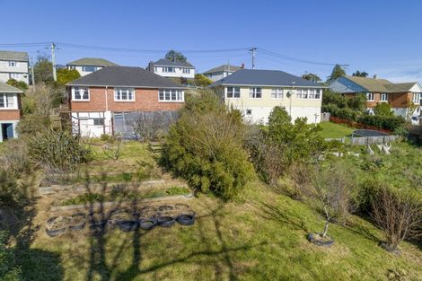 Photo of property in 14 Panmure Avenue, Calton Hill, Dunedin, 9012
