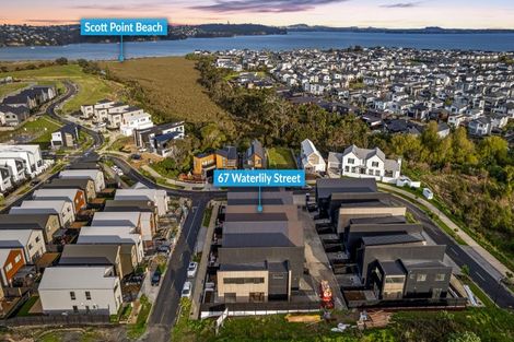 Photo of property in 67 Waterlily Street, Hobsonville, 0616