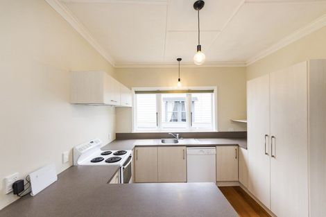 Photo of property in 47 Knowles Street, Terrace End, Palmerston North, 4410