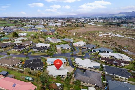 Photo of property in 12 Riverside Place, Katikati, 3129