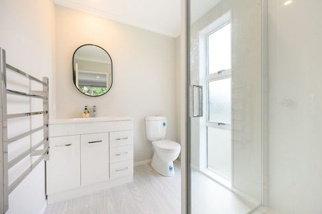 Photo of property in 39 Rainforth Street, Roslyn, Palmerston North, 4414