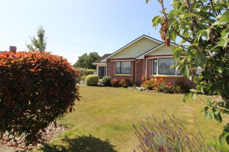 Photo of property in 37 Opie Street, Waimate, 7924
