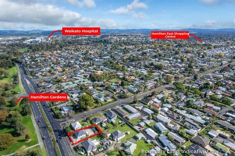 Photo of property in 131 Cobham Drive, Hamilton East, Hamilton, 3216