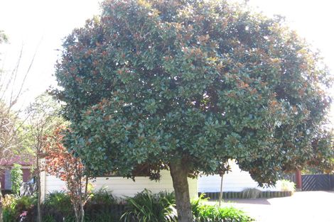 Photo of property in 113 Simpson Road, Papamoa Beach, Papamoa, 3118